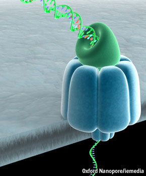 nanopore